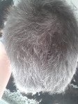 aerial view of grey, fluffy hair